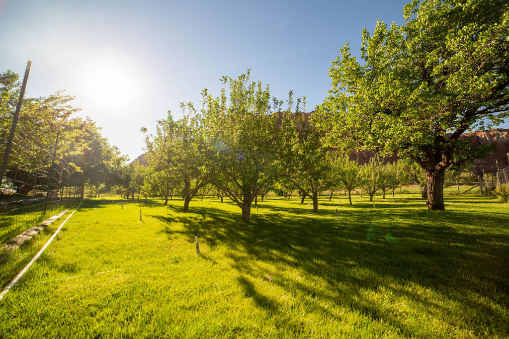 February Couples Retreat